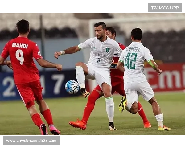 老将菲尔米诺效力萨德,年龄与体能成征战亚冠挑战 老将菲尔米诺效力萨德,年龄与体能成征战亚冠挑战